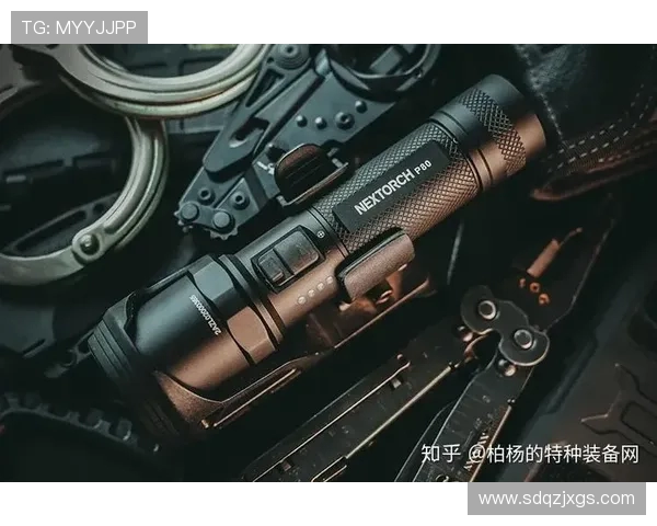 全球挑战赛分析:V5战术表现的优劣与未来发展方向探讨 全球挑战赛分析:V5战术表现的优劣与未来发展方向探讨