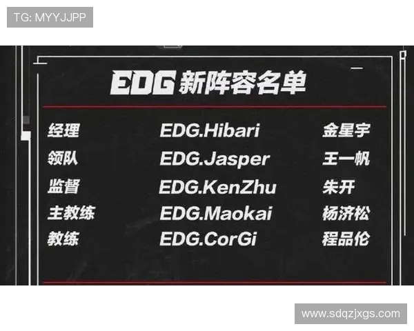 EDG职业联赛表现分析：个人能力如何影响团队胜负