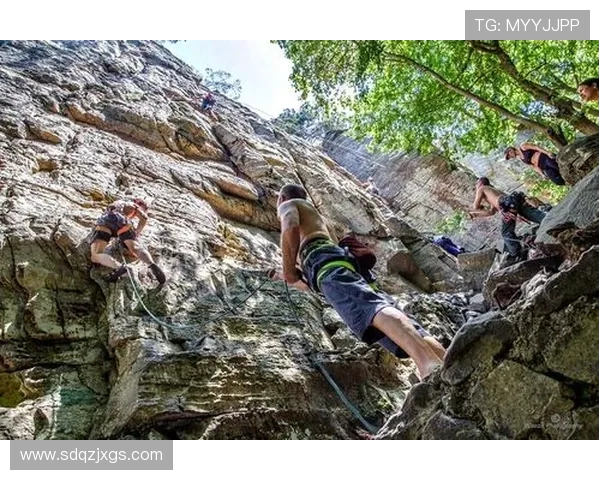南京攀岩队勇攀高峰的奋斗历程与极限运动嘉年华的精彩瞬间