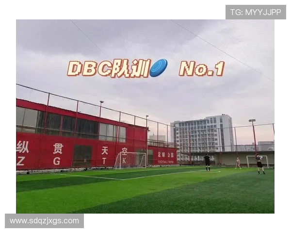 南京飞盘队区域防守体系解析与战术应用探讨