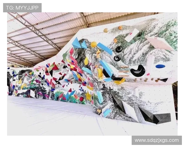 成都攀岩队灵活性对比分析及其对竞技表现的影响探讨