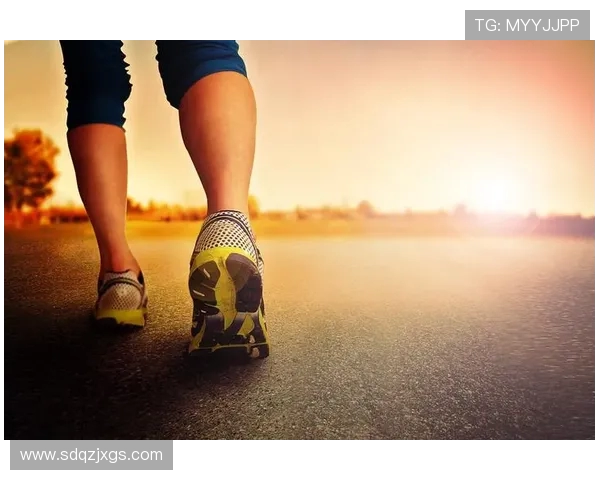 杭州排球队逆袭之路揭秘决战冠军赛背后的奋斗与坚持 杭州排球队逆袭之路揭秘决战冠军赛背后的奋斗与坚持