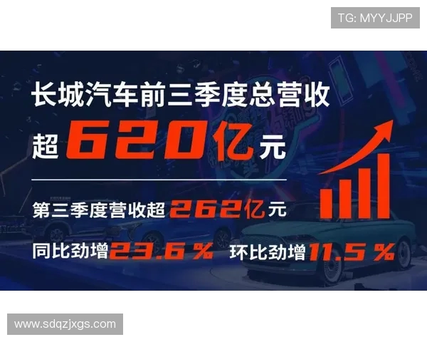 深圳篮球队运营革新探索:从管理模式到市场营销的全方位升级之路 深圳篮球队运营革新探索:从管理模式到市场营销的全方位升级之路