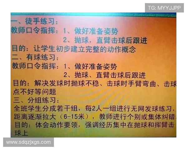 西安排球队区域防守体系的排球战术解析与应用探讨