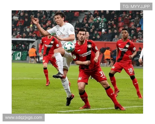 勒沃库森主场迎战科隆期待强势反弹争夺德甲宝贵积分