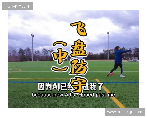 飞盘战术揭秘南京飞盘队如何运用快攻制胜对手