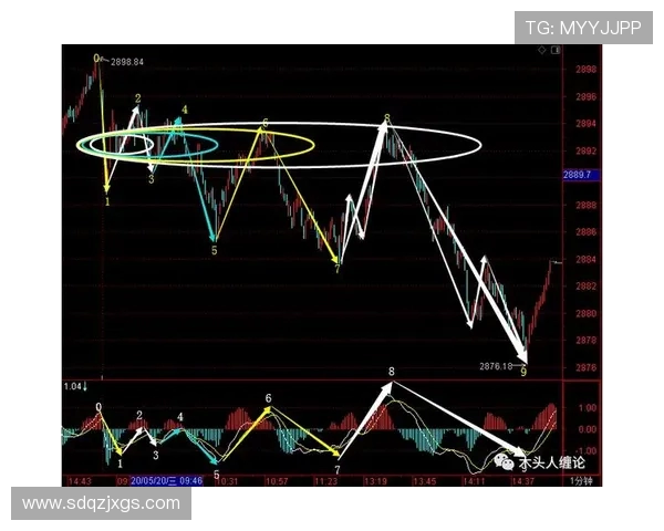 武汉排球队包夹战术解析与实战应用研究 武汉排球队包夹战术解析与实战应用研究