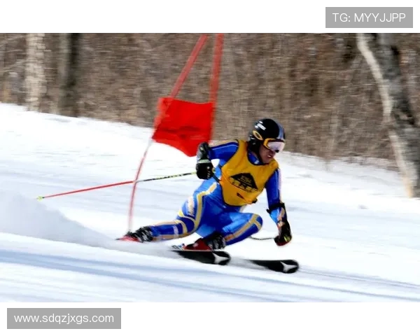 赵伟独家分享乒乓球技巧与心得助你提升竞技水平和比赛表现