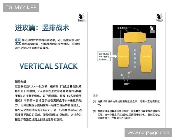 飞盘战术解析杭州飞盘队如何构建高效进攻体系与战术配合