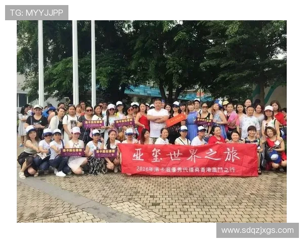 WE战队的蜕变之路：从辉煌到重生的英雄联盟纪实