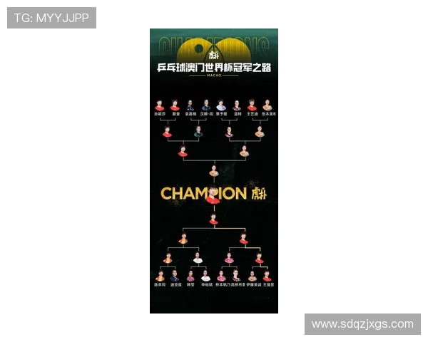 南京乒乓球队最新配合排名前十引领潮流展现卓越团队实力