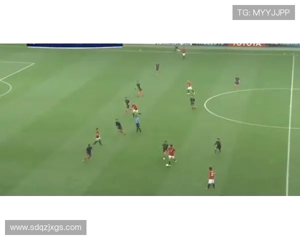 广州排球队反击战术深度解析与实战应用探讨