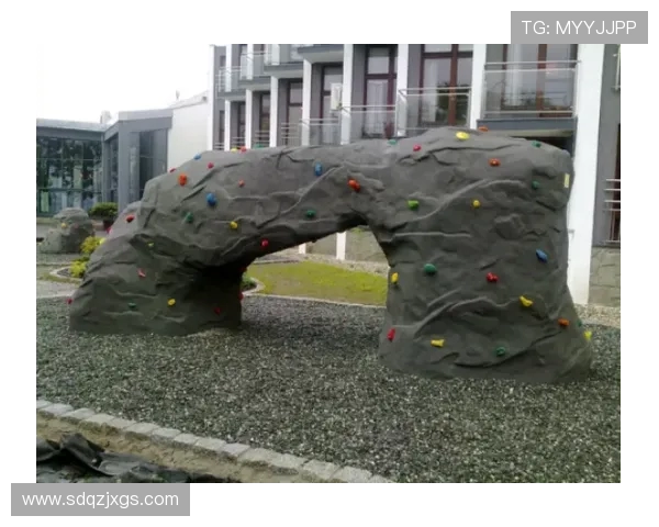 成都攀岩队心理素质分析与提升策略探讨