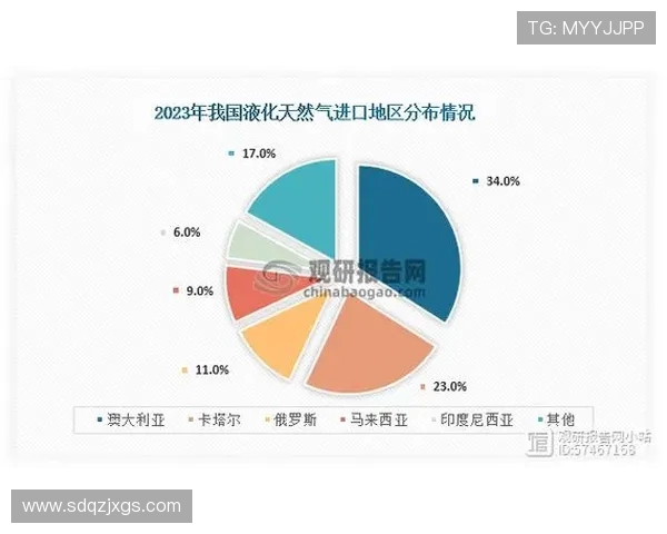 数据分析在液化天然气行业中的个人能力提升与表现研究