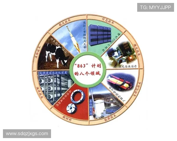 杭州攀岩队的区域防守策略与技术解析深度探讨